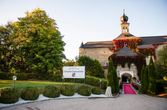 Trakehner_Vernissage_2